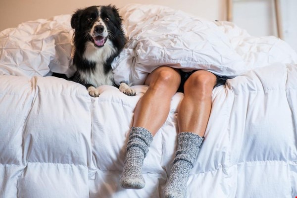 Zo kun jij heerlijk slapen in de winter! Zo kun jij heerlijk slapen in de winter!